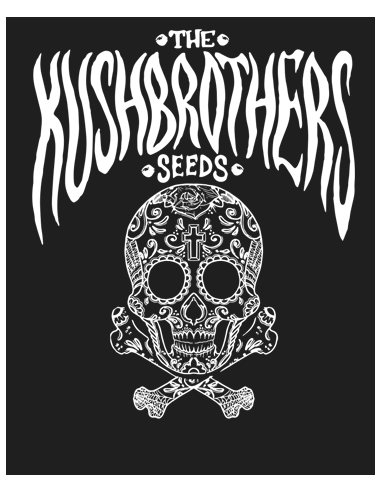 general kushbrothers Pandemia Kush x3 - The Kushbrothers - Imagen 1