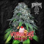 Wedding cake x Gelao #41 x3 - The Kushbroters